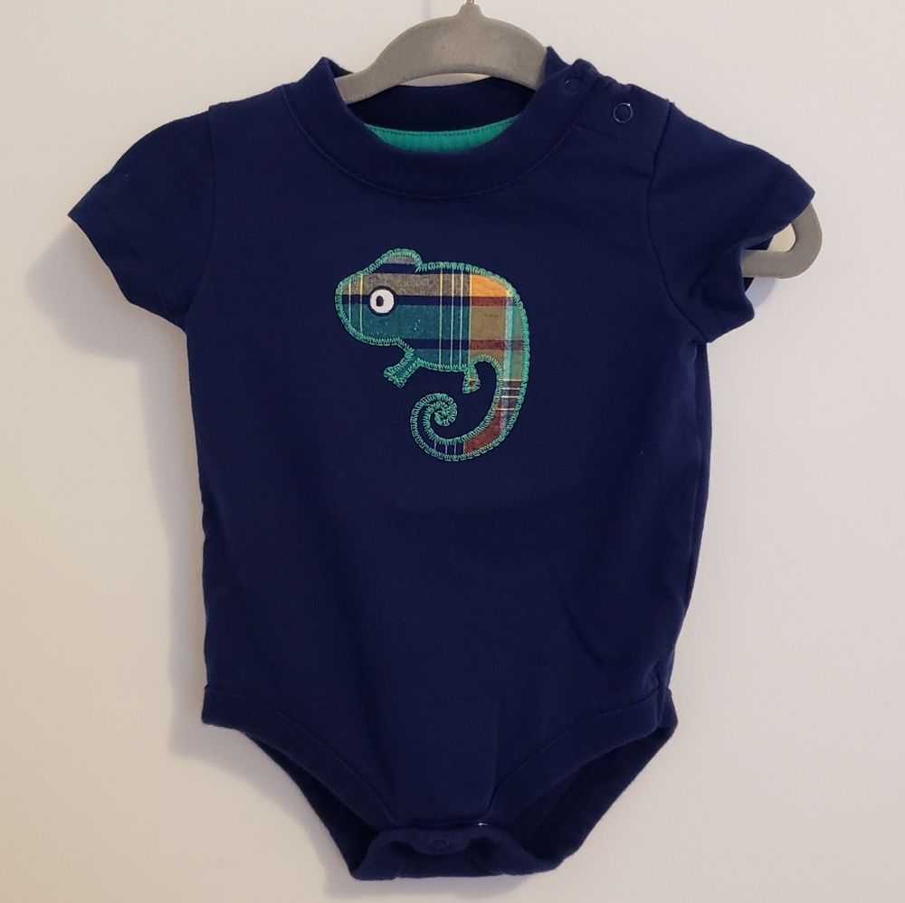 Gymboree baby boy lizard bodysuit and hoodie.